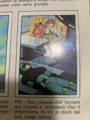 Figurina 171 capitan - , futuro